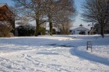 Thumbs/tn_Jan 6th 2010-33.jpg